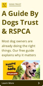 Dogs Trust ad — Free guide helps dog owners keep their dogs safe