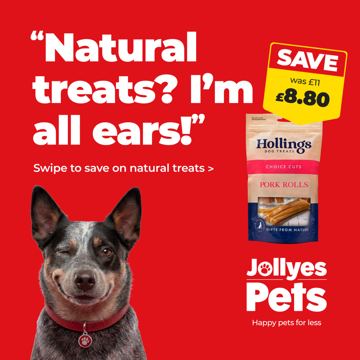Jollyes ad — Natural dog treats at lower prices from Jollyes