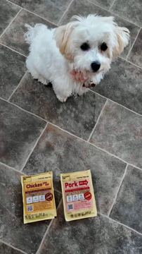 Butternut Box ad — Fresh food for happy dogs, try Butternut Box