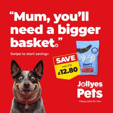 Jollyes ad — Save on dog food — was £16, now £12.80
