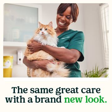 Vets4Pets ad — Same great vet care with a brand new look