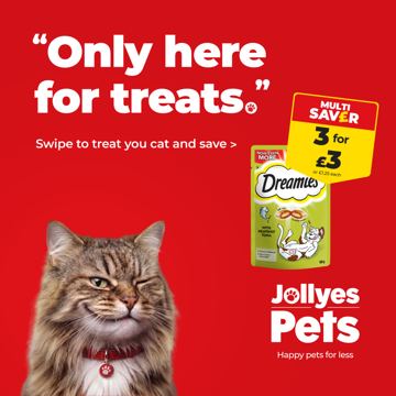 Jollyes ad — Only here for treats — 3 Dreamies for £3