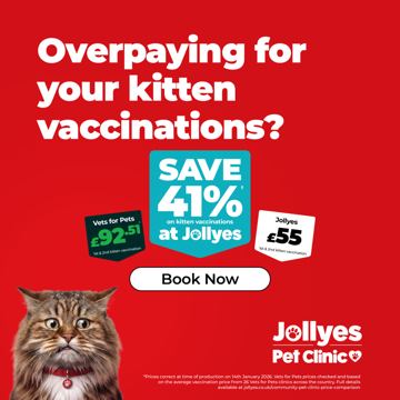 Jollyes ad — Save 41% on kitten vaccinations at Jollyes