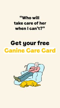Dogs Trust ad — Get a free card so your dog is cared for if you can't