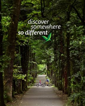 Center Parcs ad — Swap airport queues for forest views this summer