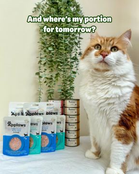 Zooplus ad — Up to 25% off British-made pet food brands