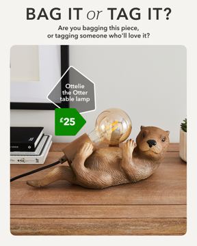 Dunelm ad — Bag it or tag it — novelty otter lamp at £25