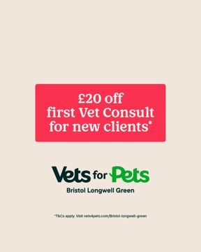 Vets4Pets ad — £20 off your first vet consult for new clients