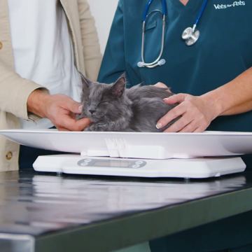 Vets4Pets ad — Book a vet appointment for your pet in one click